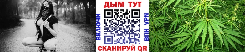 как найти   Ленск  blacksprut зеркало  Каннабис сатива 